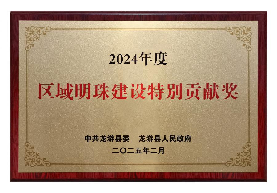 2024區(qū)域明珠建設特別貢獻獎.jpg